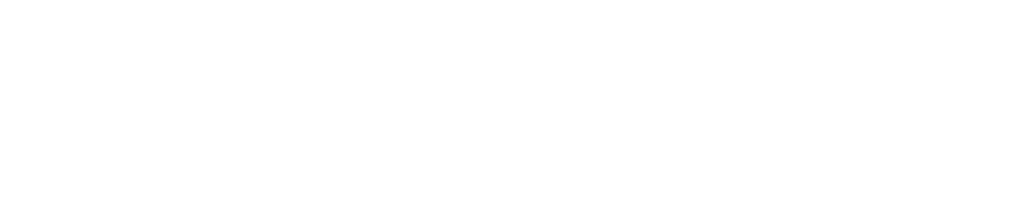 IT Business Hero Logo - Light